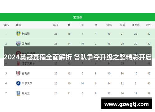 2024英冠赛程全面解析 各队争夺升级之路精彩开启 2024英冠赛程全面解析 各队争夺升级之路精彩开启