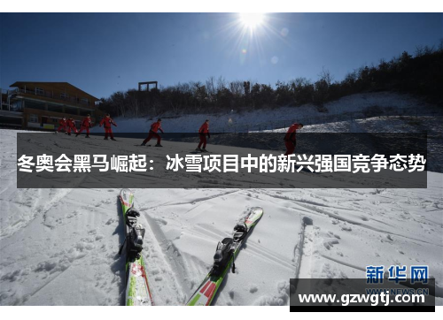 冬奥会黑马崛起：冰雪项目中的新兴强国竞争态势