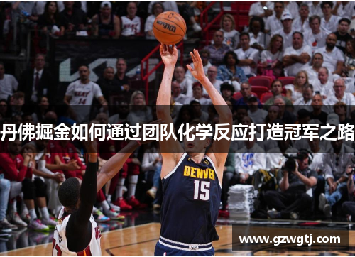 丹佛掘金如何通过团队化学反应打造冠军之路