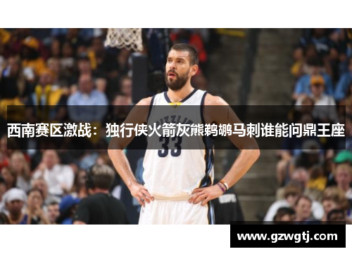 西南赛区激战：独行侠火箭灰熊鹈鹕马刺谁能问鼎王座