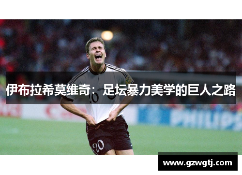 伊布拉希莫维奇:足坛暴力美学的巨人之路 伊布拉希莫维奇:足坛暴力美学的巨人之路