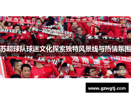 苏超球队球迷文化探索独特风景线与热情氛围
