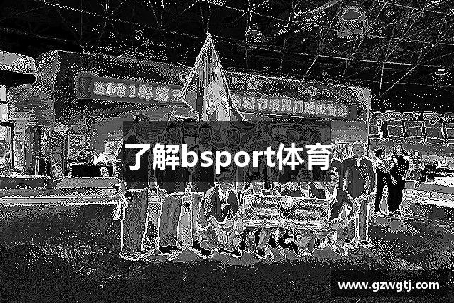 了解bsport体育
